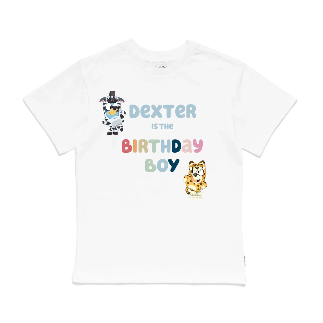 Roys Boys White T-Shirt Imagery_0009_Older Kids Front