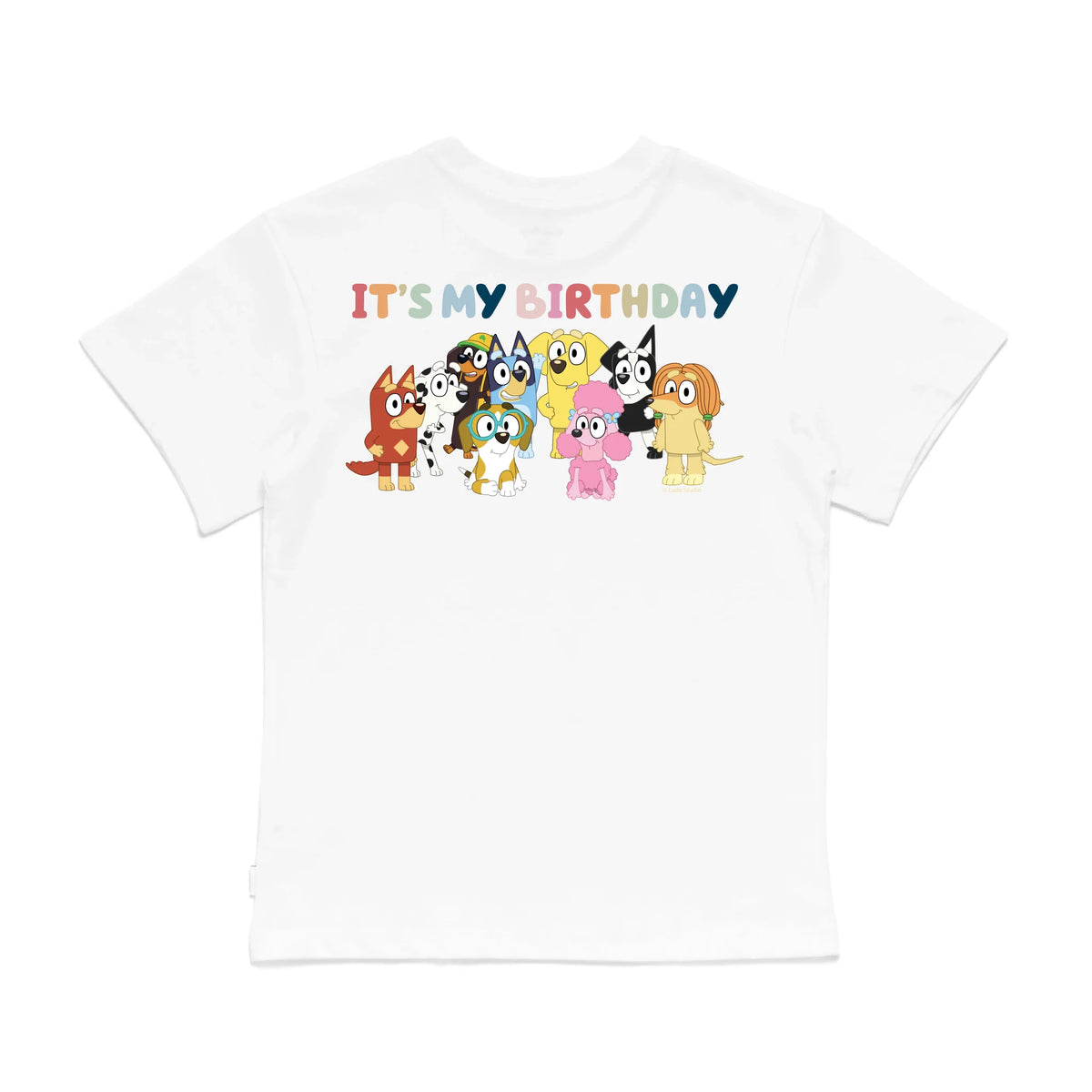 Roys Boys White T-Shirt Imagery_0008_Older Kids Back