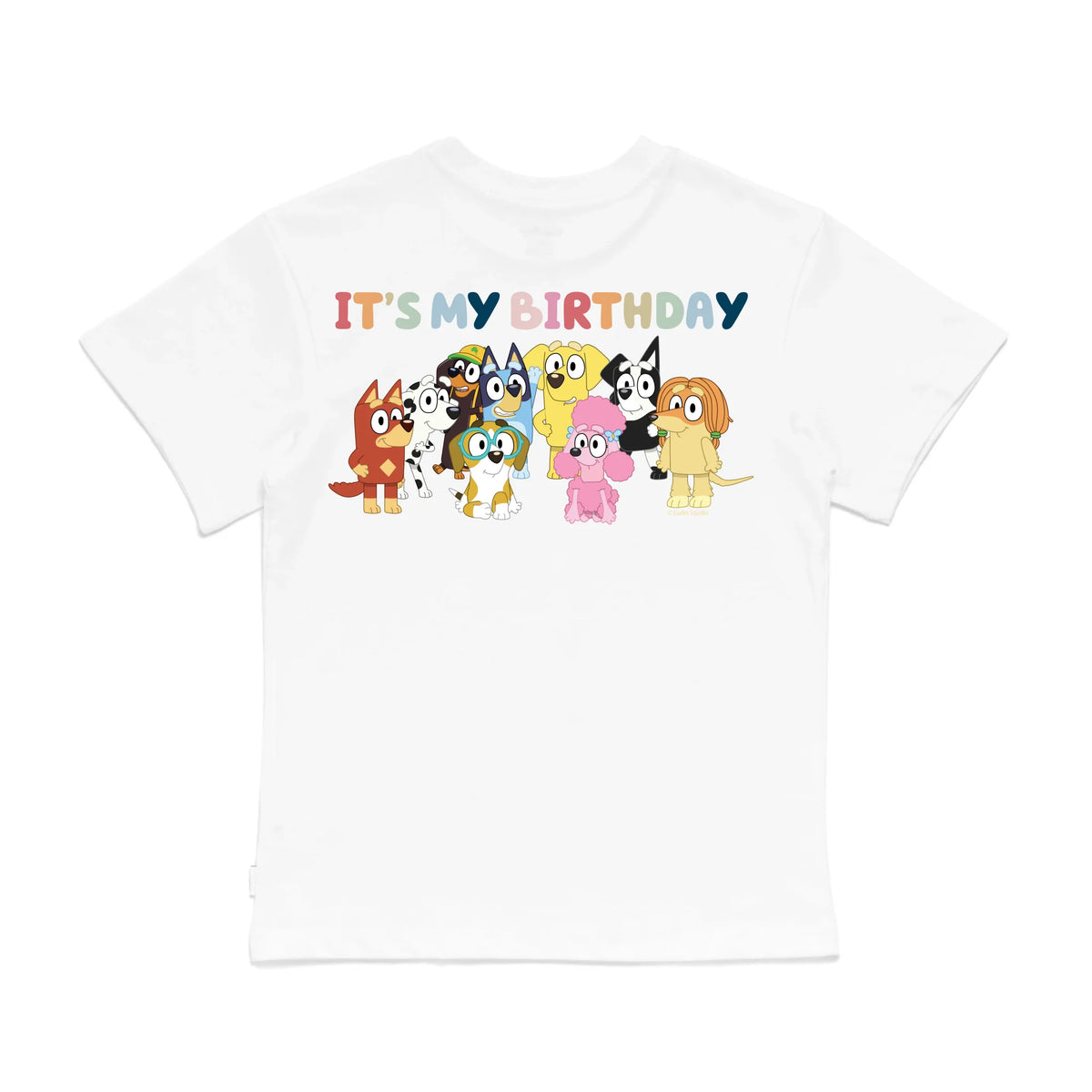 Roys Boys White T-Shirt Imagery_0008_Older Kids Back