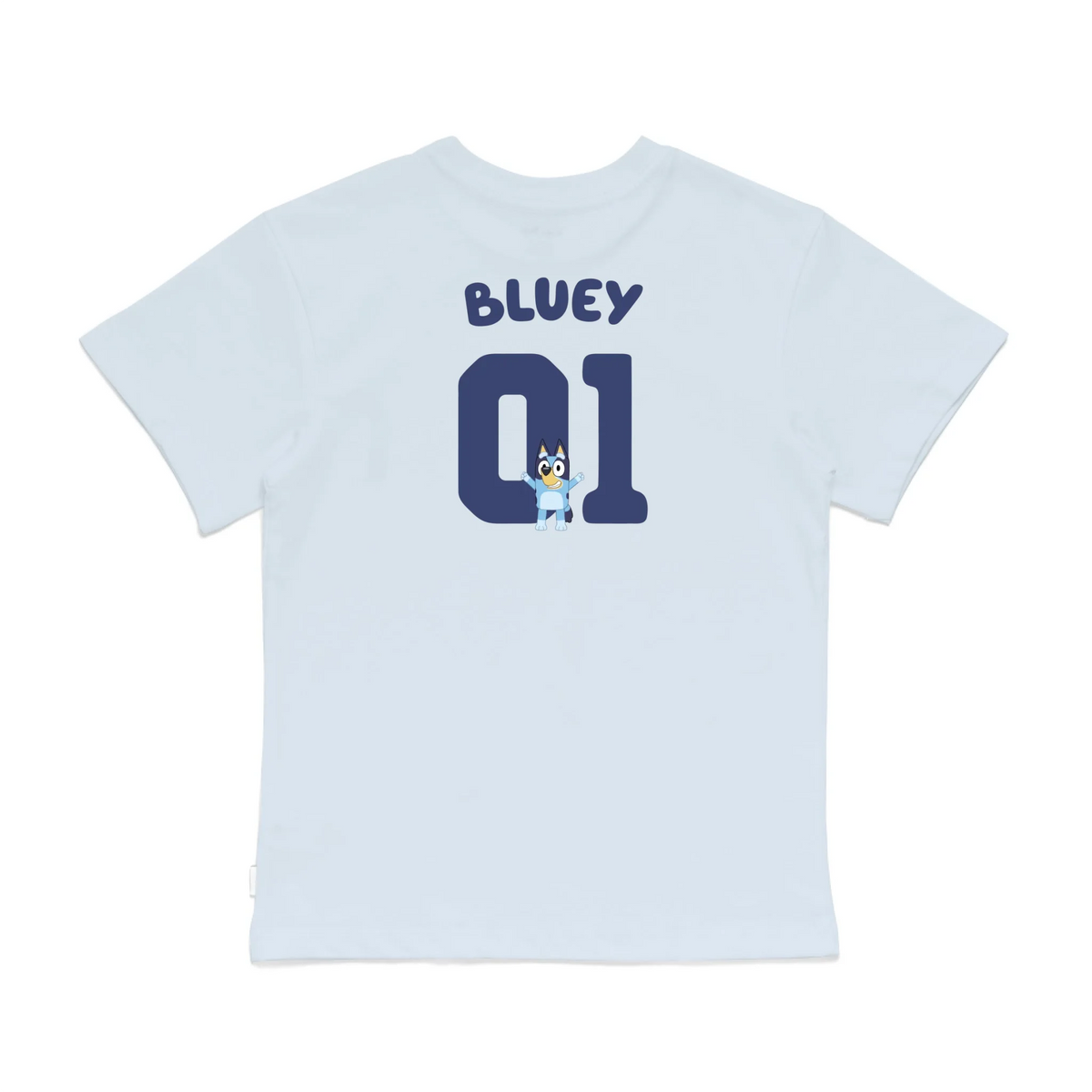 Roys Boys Bue T-Shirt Imagery_0008_Older Kids Back