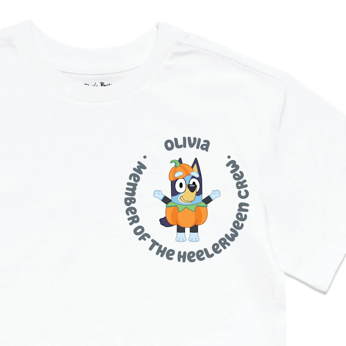 Roys Boys White T-Shirt Imagery_0010_Older Kids Front Zoomed In-01
