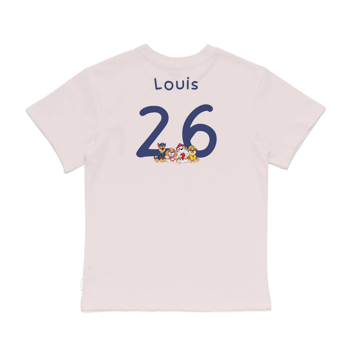 Roys Boys Pink T-Shirt Imagery_0008_Older Kids Back