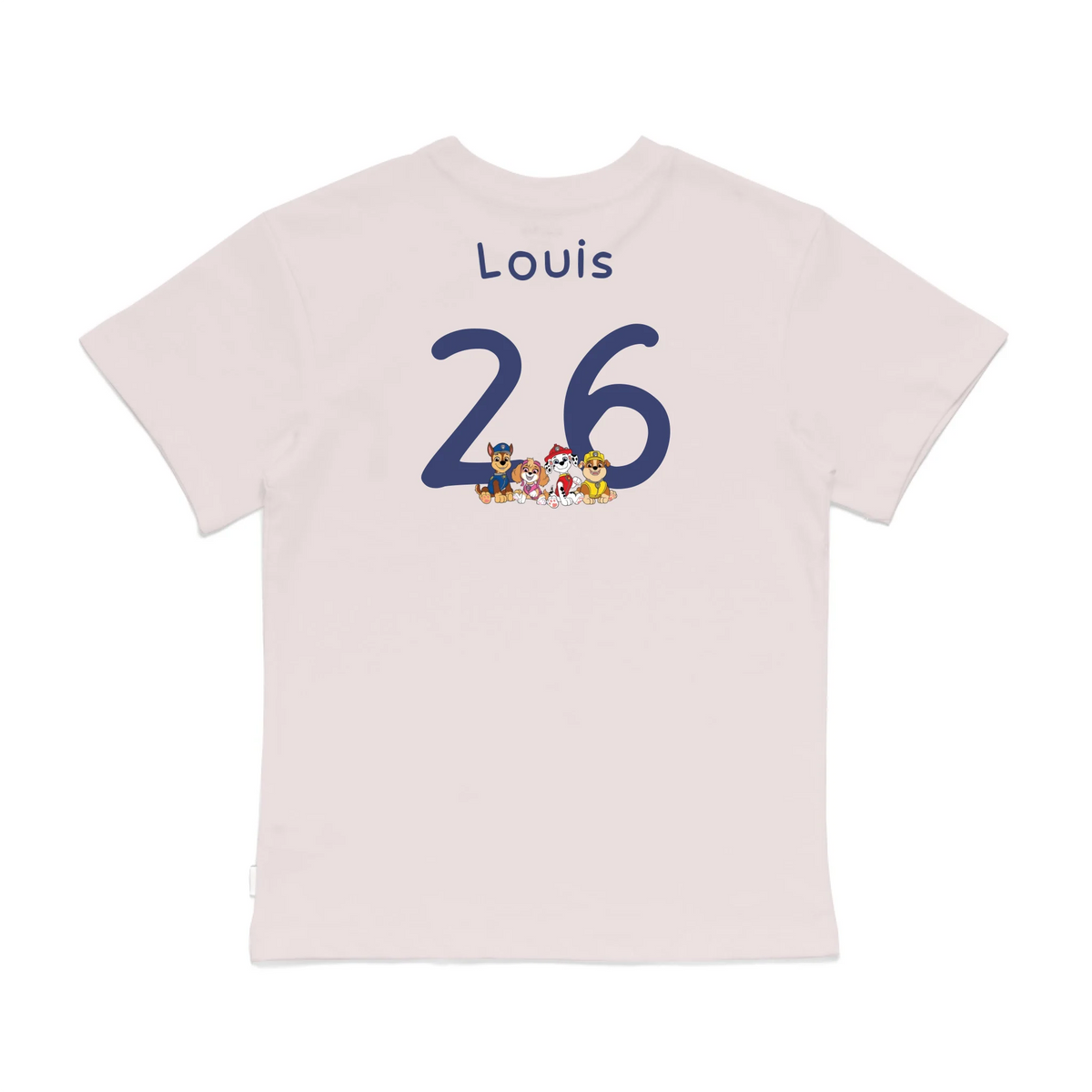 Roys Boys Pink T-Shirt Imagery_0008_Older Kids Back