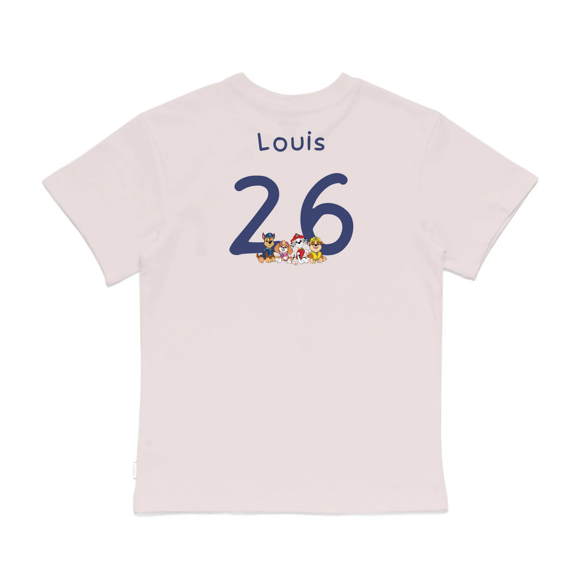 Roys Boys Pink T-Shirt Imagery_0008_Older Kids Back