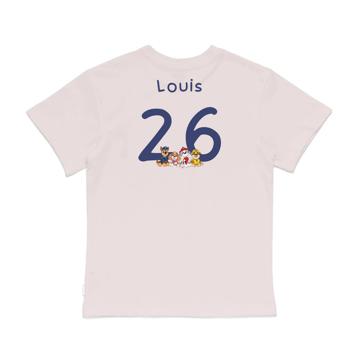 Roys Boys Pink T-Shirt Imagery_0008_Older Kids Back