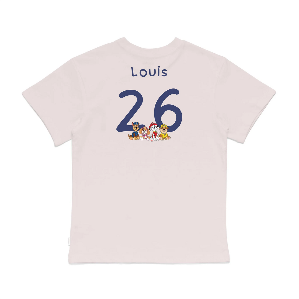 Roys Boys Pink T-Shirt Imagery_0008_Older Kids Back