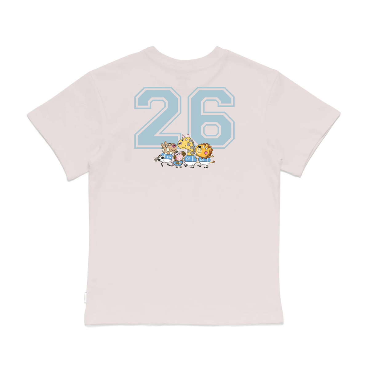 Roys Boys Pink T-Shirt Imagery_0008_Older Kids Back