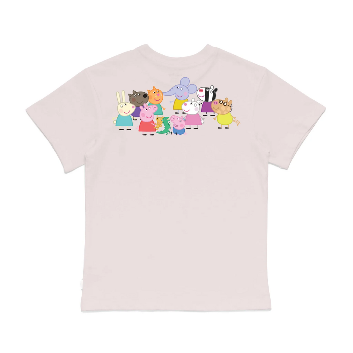 Roys Boys Pink T-Shirt Imagery_0008_Older Kids Back