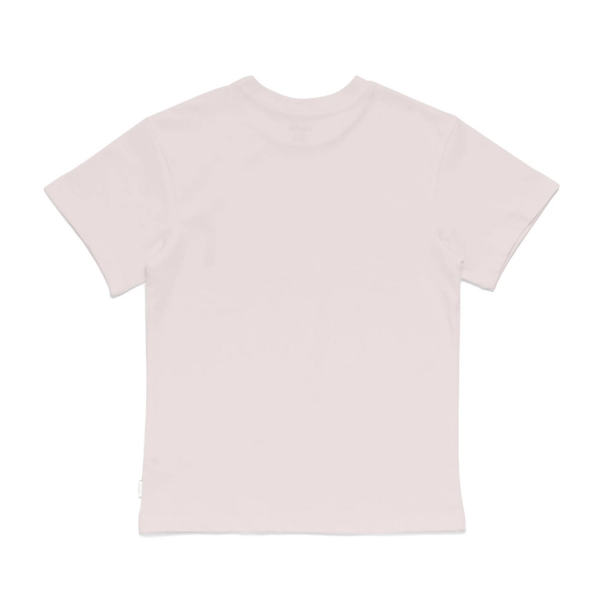 Roys Boys Pink T-Shirt Imagery_0008_Older Kids Back